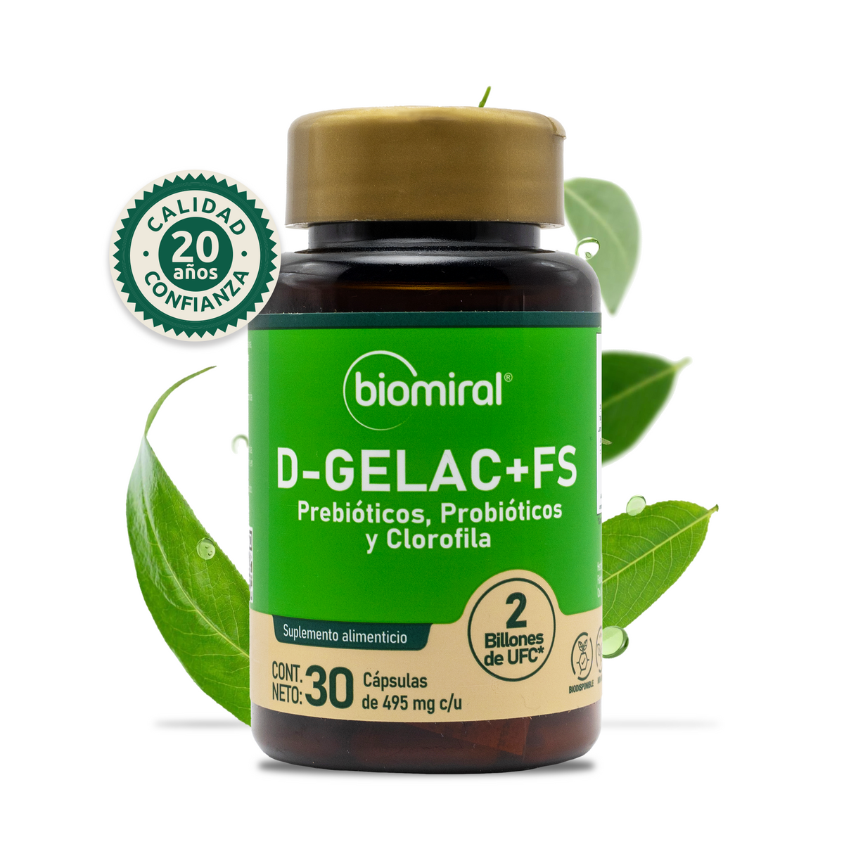 D-GELAC + FS | Bacillus coagulans, fibra prebiótica y clorofila