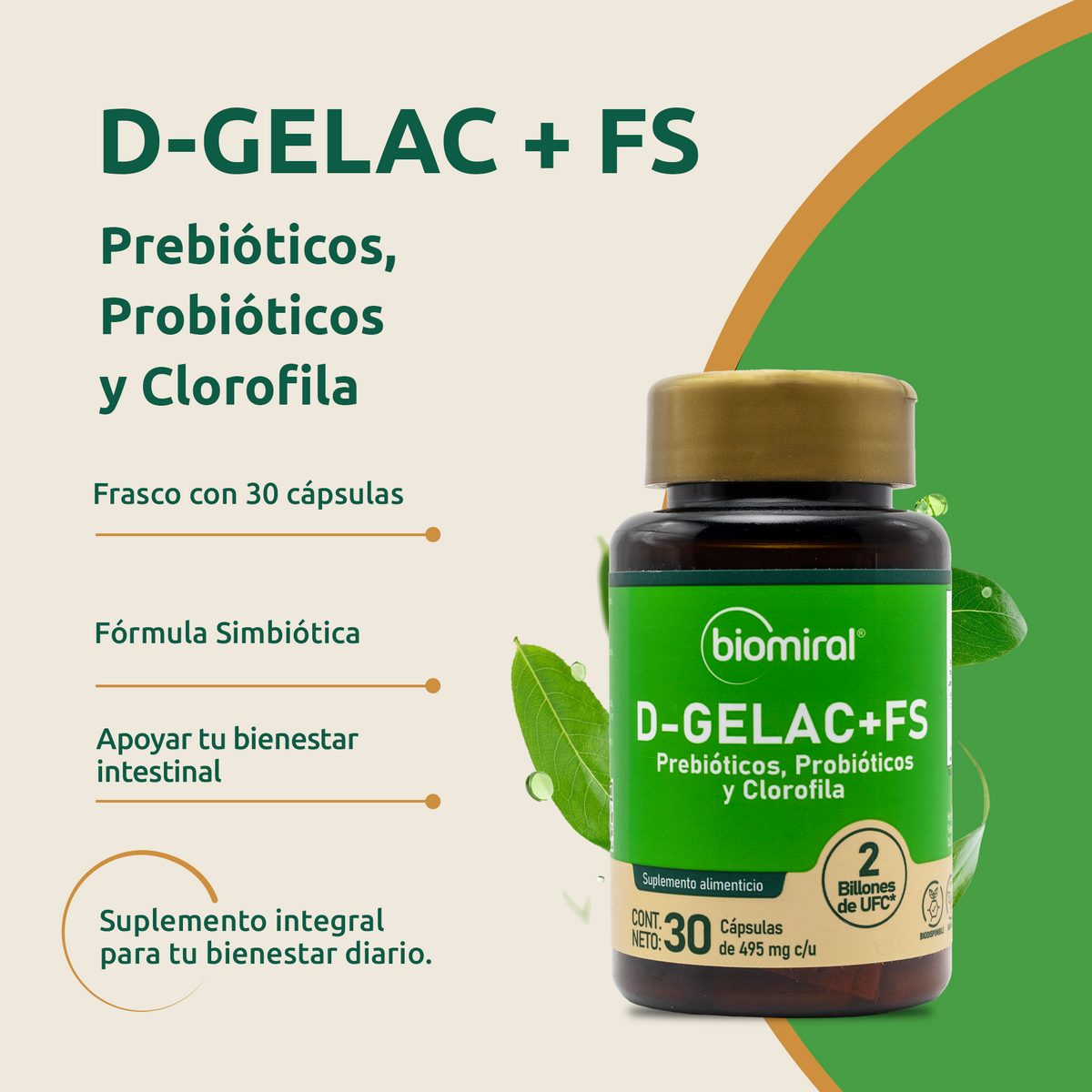 D-GELAC + FS | Bacillus coagulans, fibra prebiótica y clorofila
