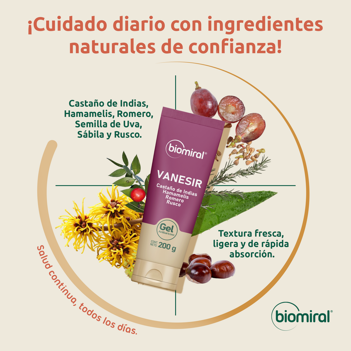 Vanesir Gel | Castaño de Indias, Hamamelis, Romero y Rusco